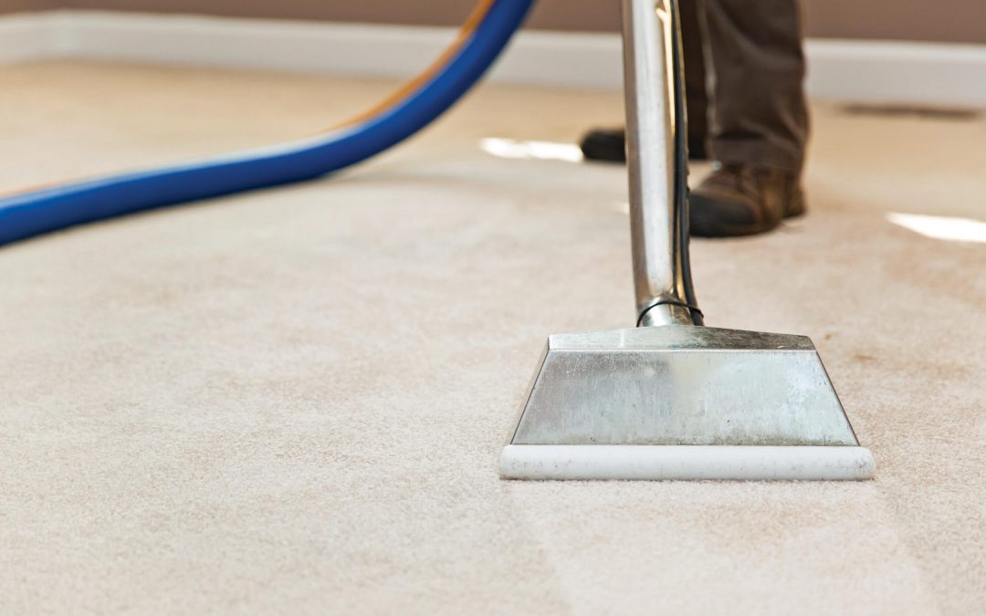Carpet Cleaning Maryborough- The benefits of getting a carpet cleaned professionally